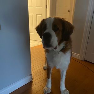 Meet your Posher, Evan